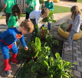 Children tending to plants in a garden