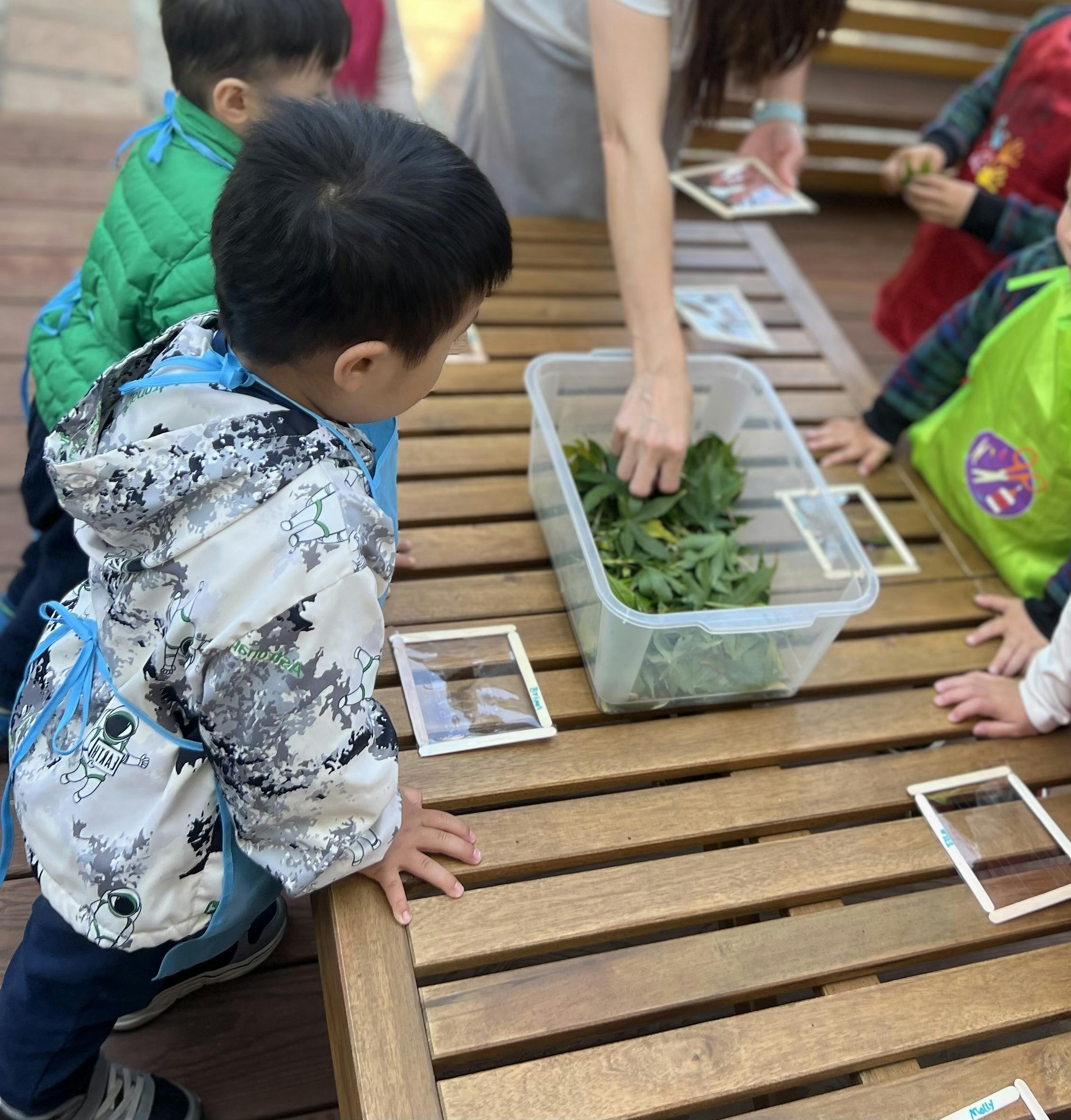 Hillcrest Early Learning in Millbrae, CA