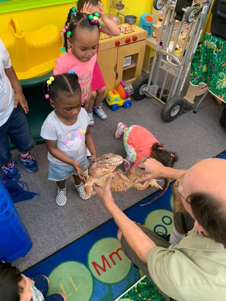 Adult holding a lizard for children to observe