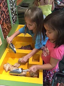 Two children scooping items from bins