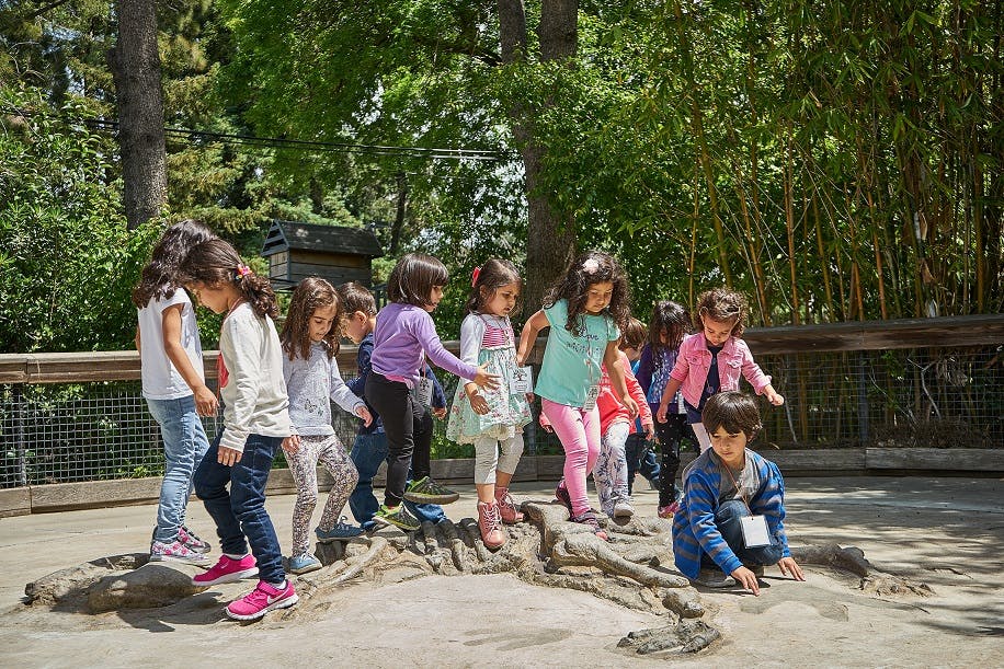 Group of children playing on a raised dirt area outdoors