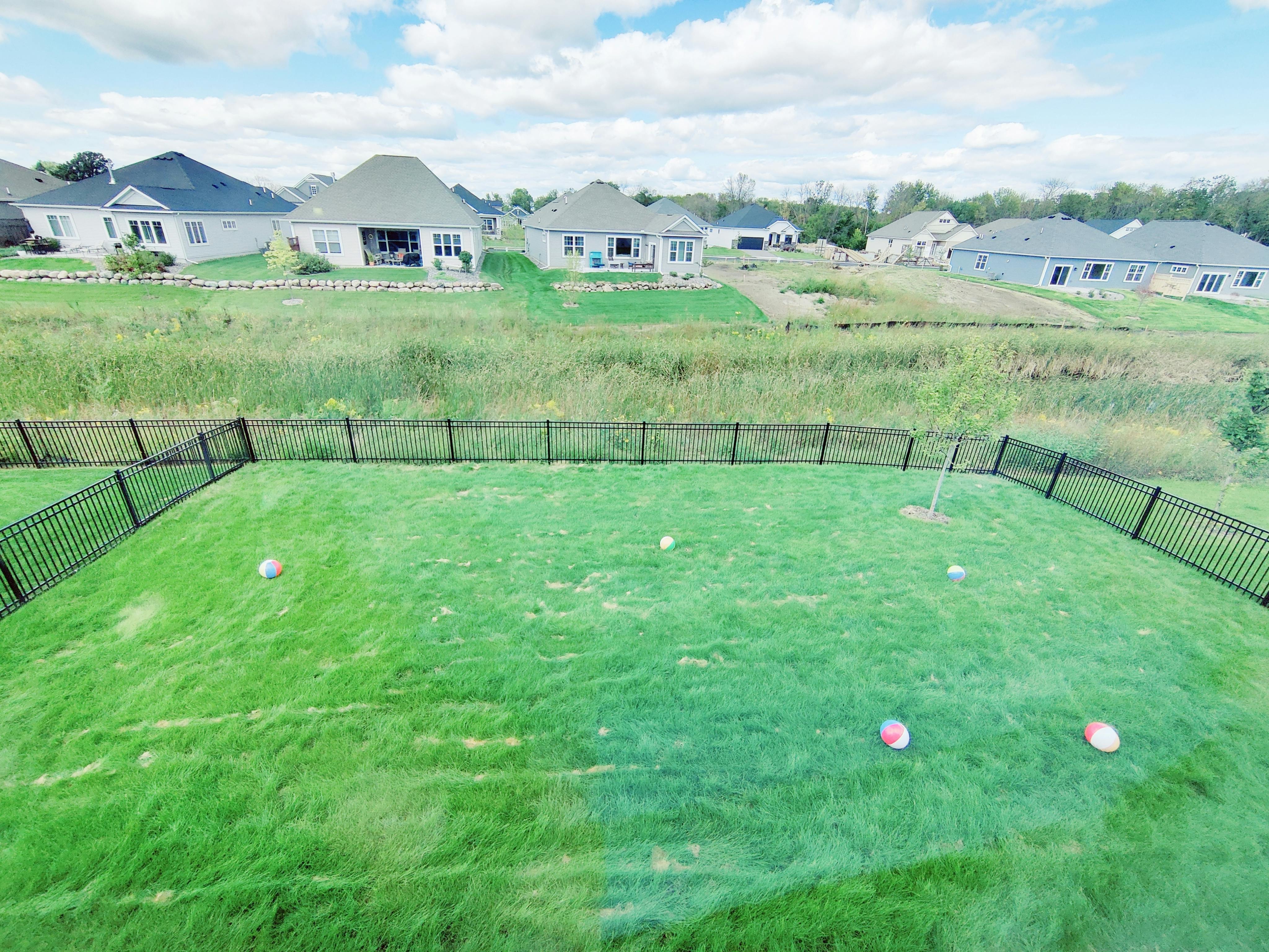 Fenced backyard with green grass and houses in the background