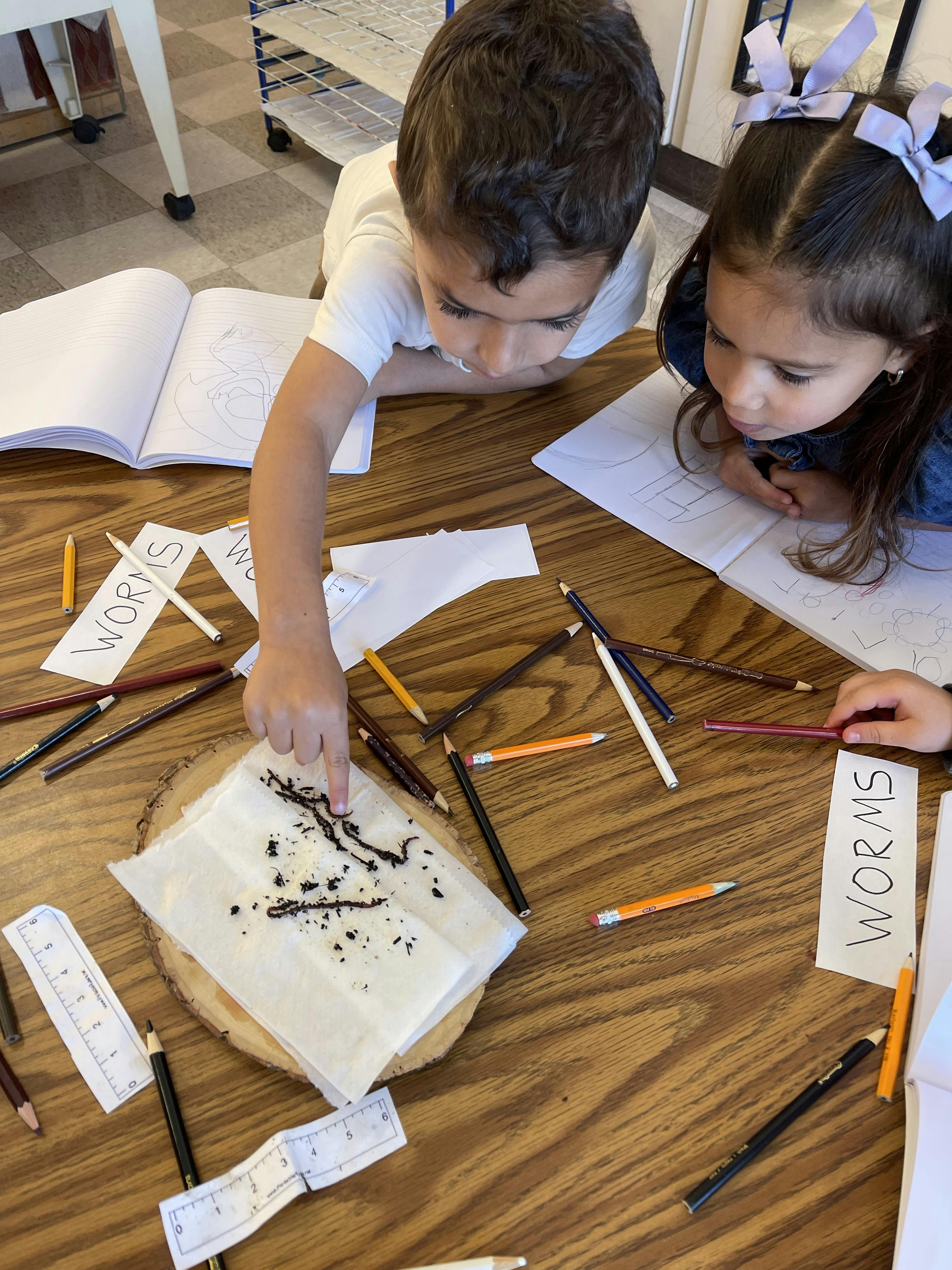 Two children observing earthworms on a paper towel at a table