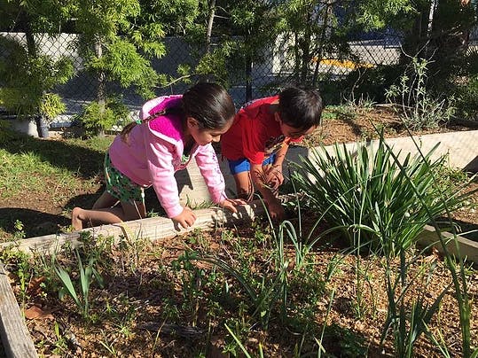 Two children kneeling and tending to plants in a garden bed