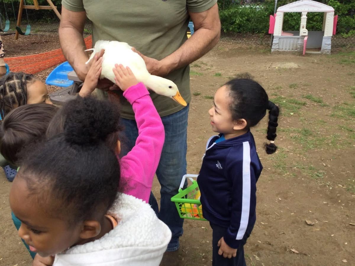 Person holding a white duck with children gathered around touching it