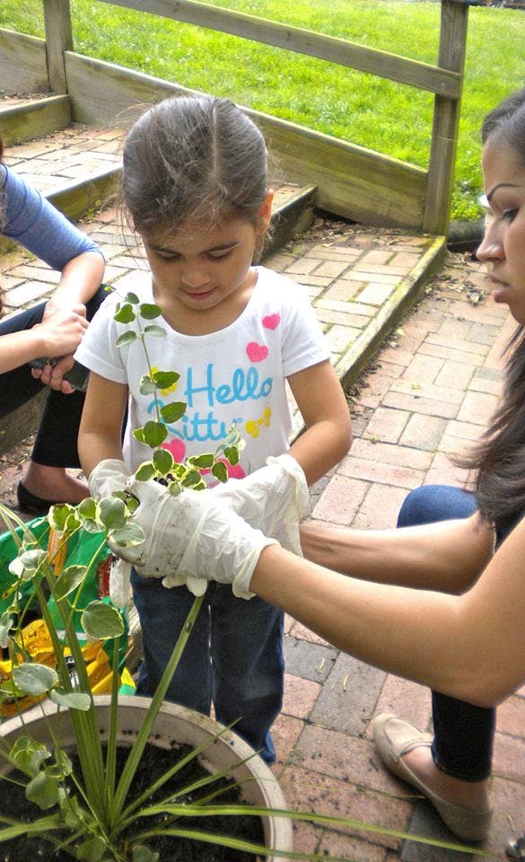 Child and person in gloves planting a small plant in a pot