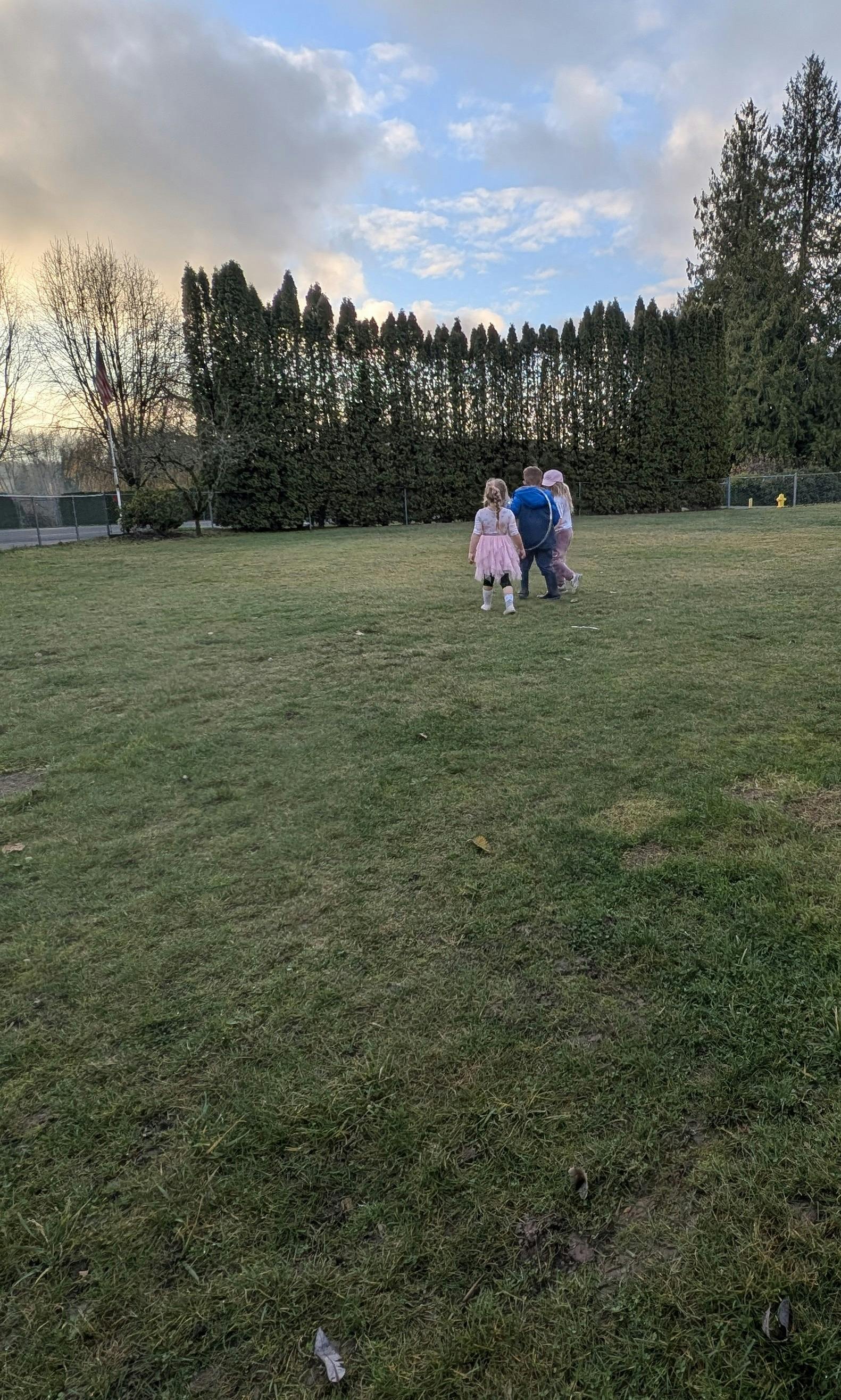 Three children playing on a grassy field, viewed from behind