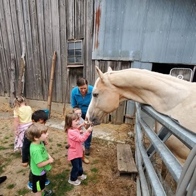 Person and children interacting with a horse over a fence