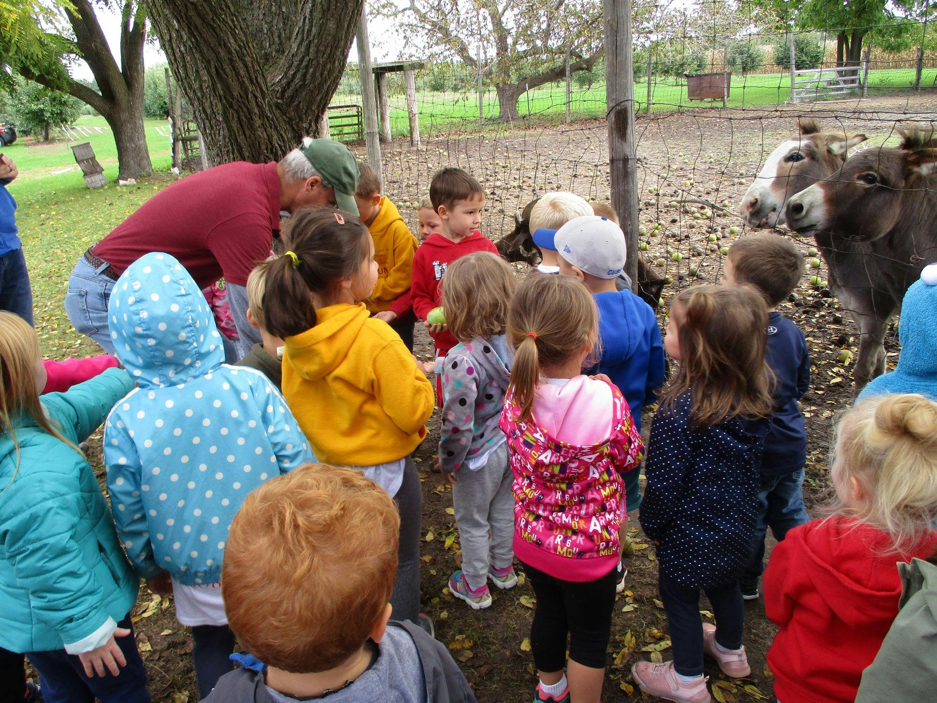 Adult and children gathered around donkeys