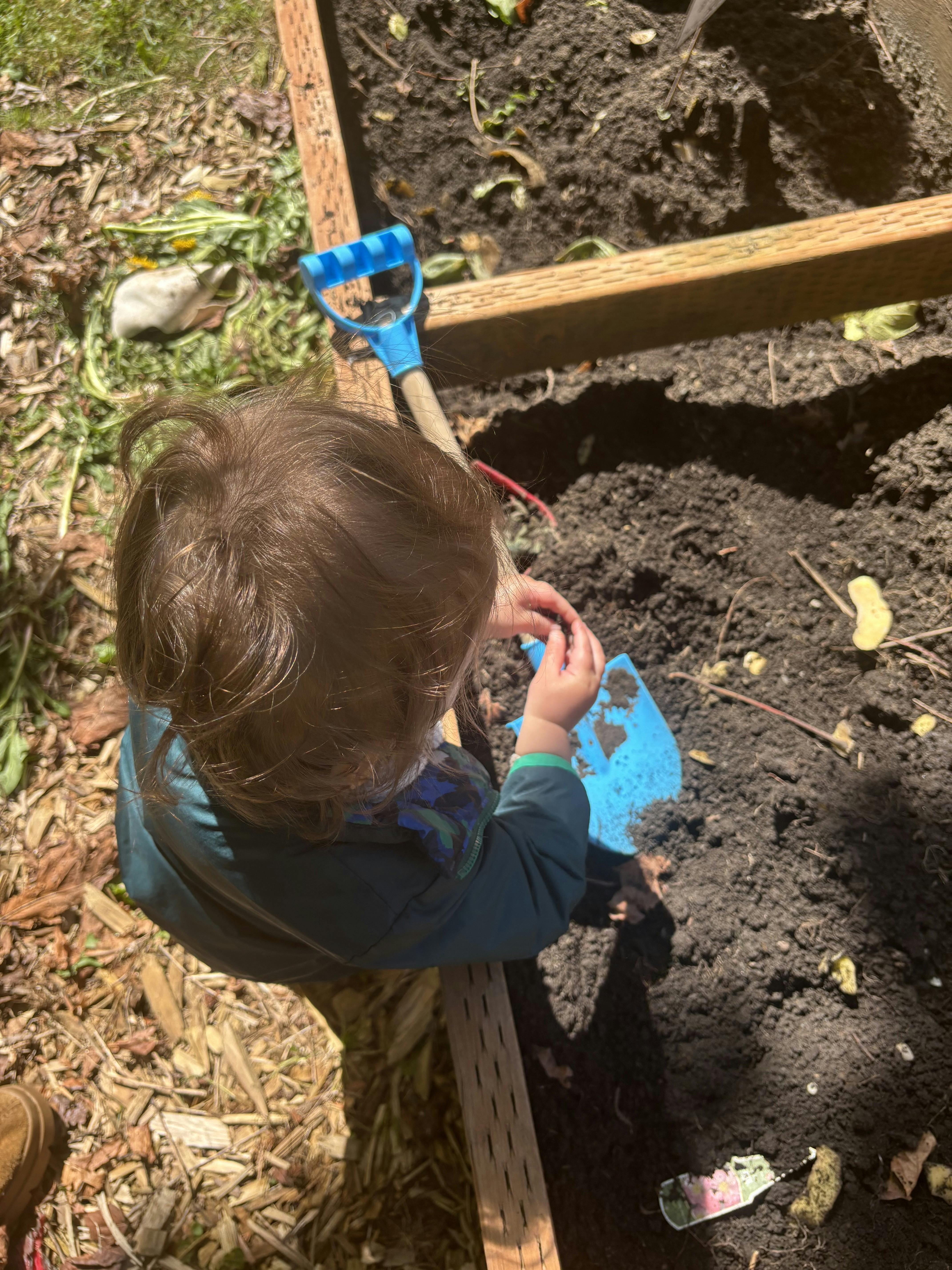 Child digging in a garden bed with a plastic shovel