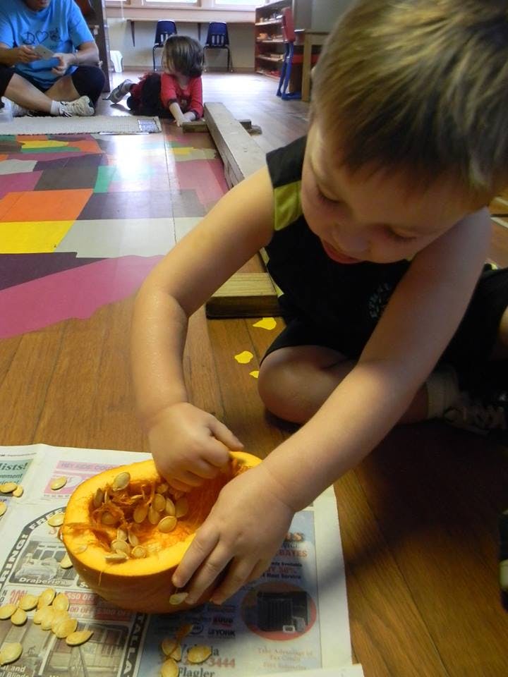 Child removing seeds from a pumpkin