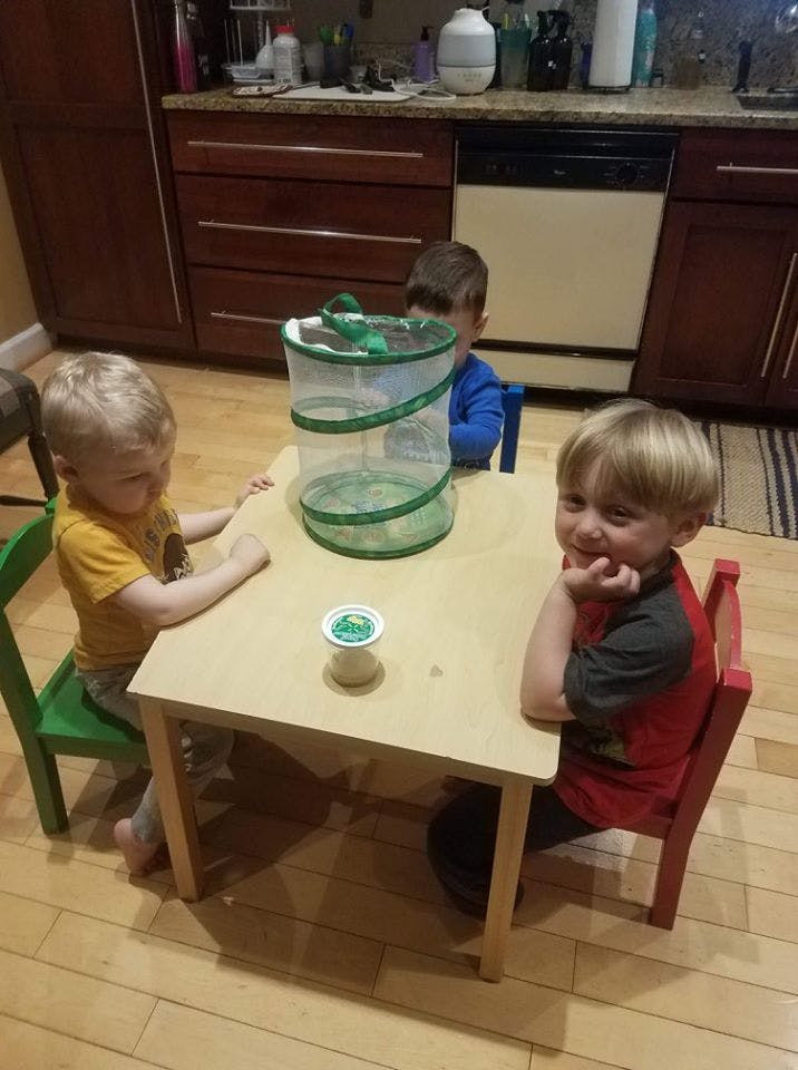 Three children sitting at a small table with a butterfly habitat