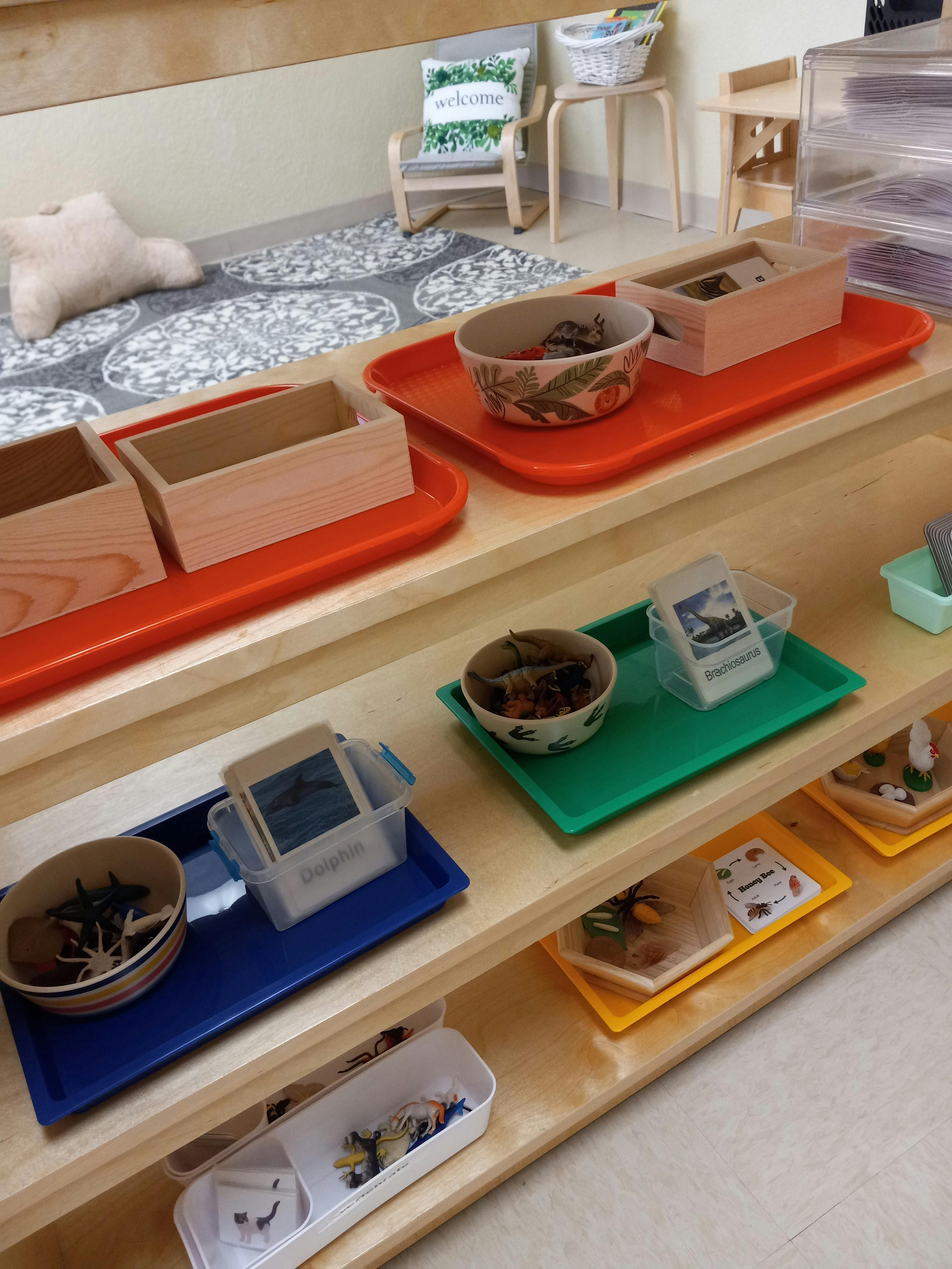 Shelves with various trays, bowls, and containers in a classroom setting