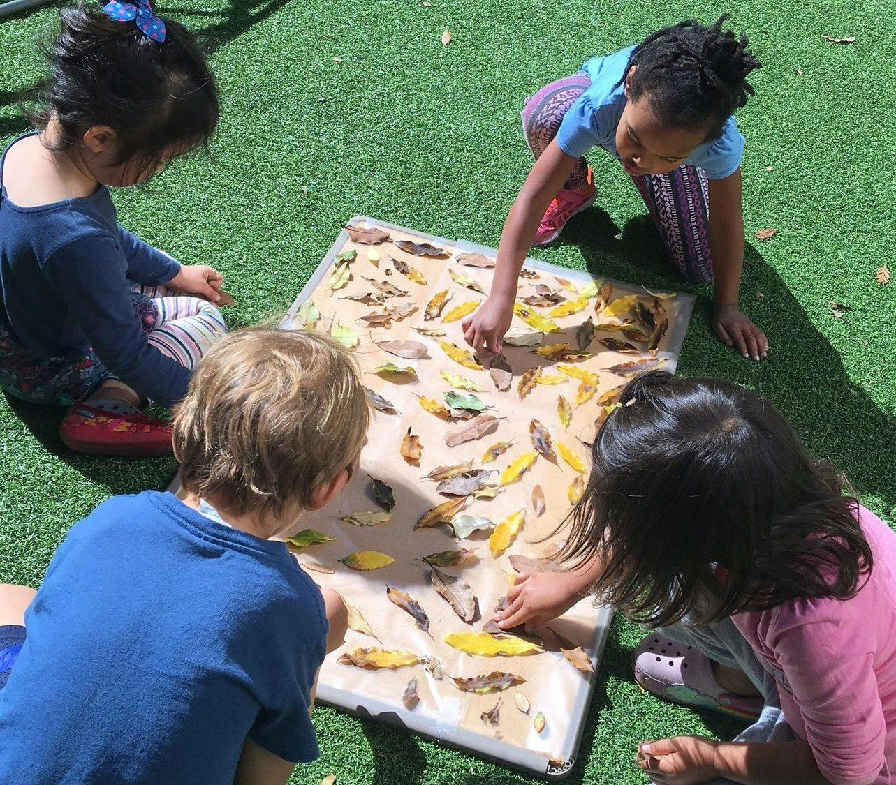 Four children arranging leaves on a large sheet of paper outdoors