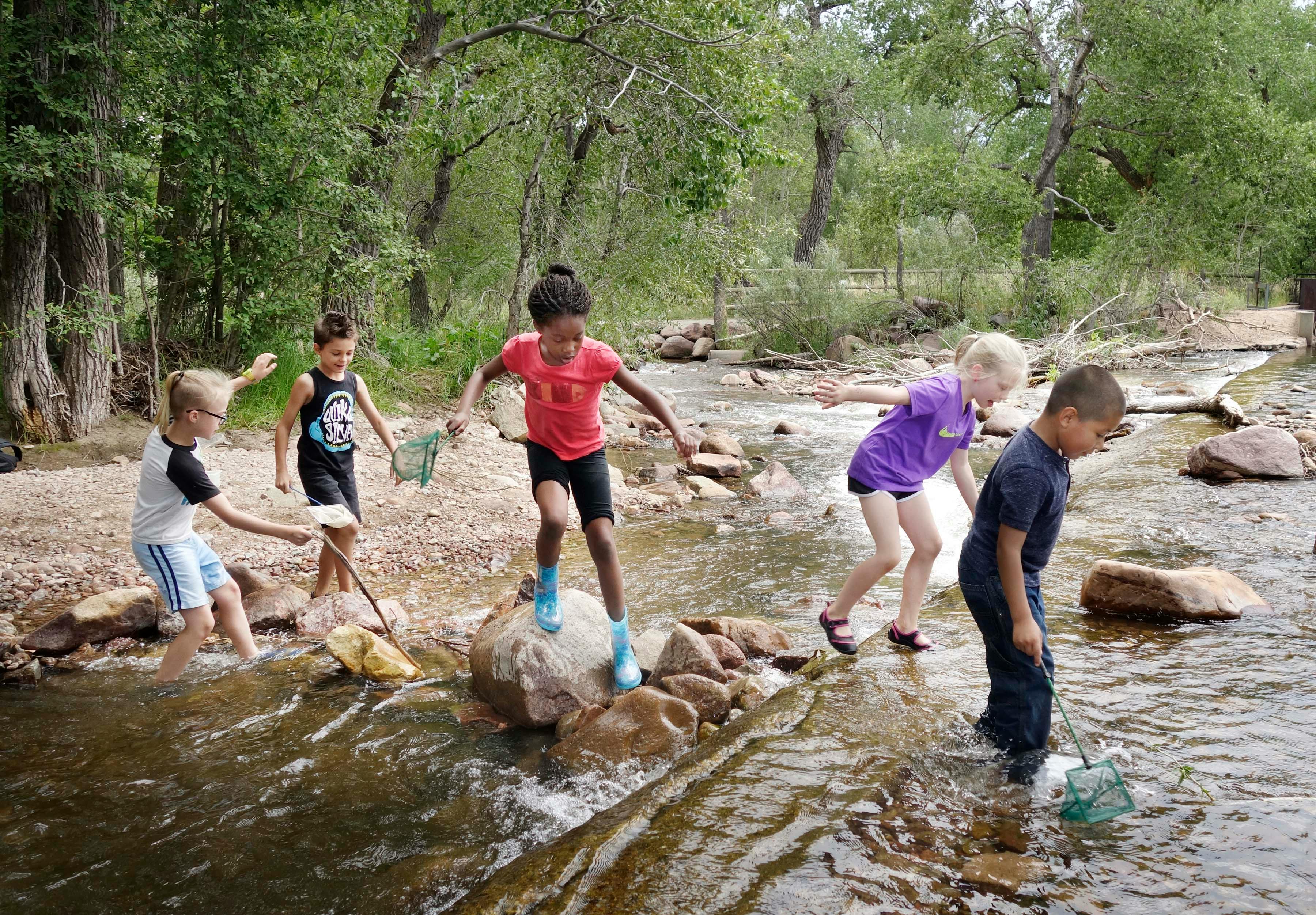 Children wading and playing in a shallow stream with nets