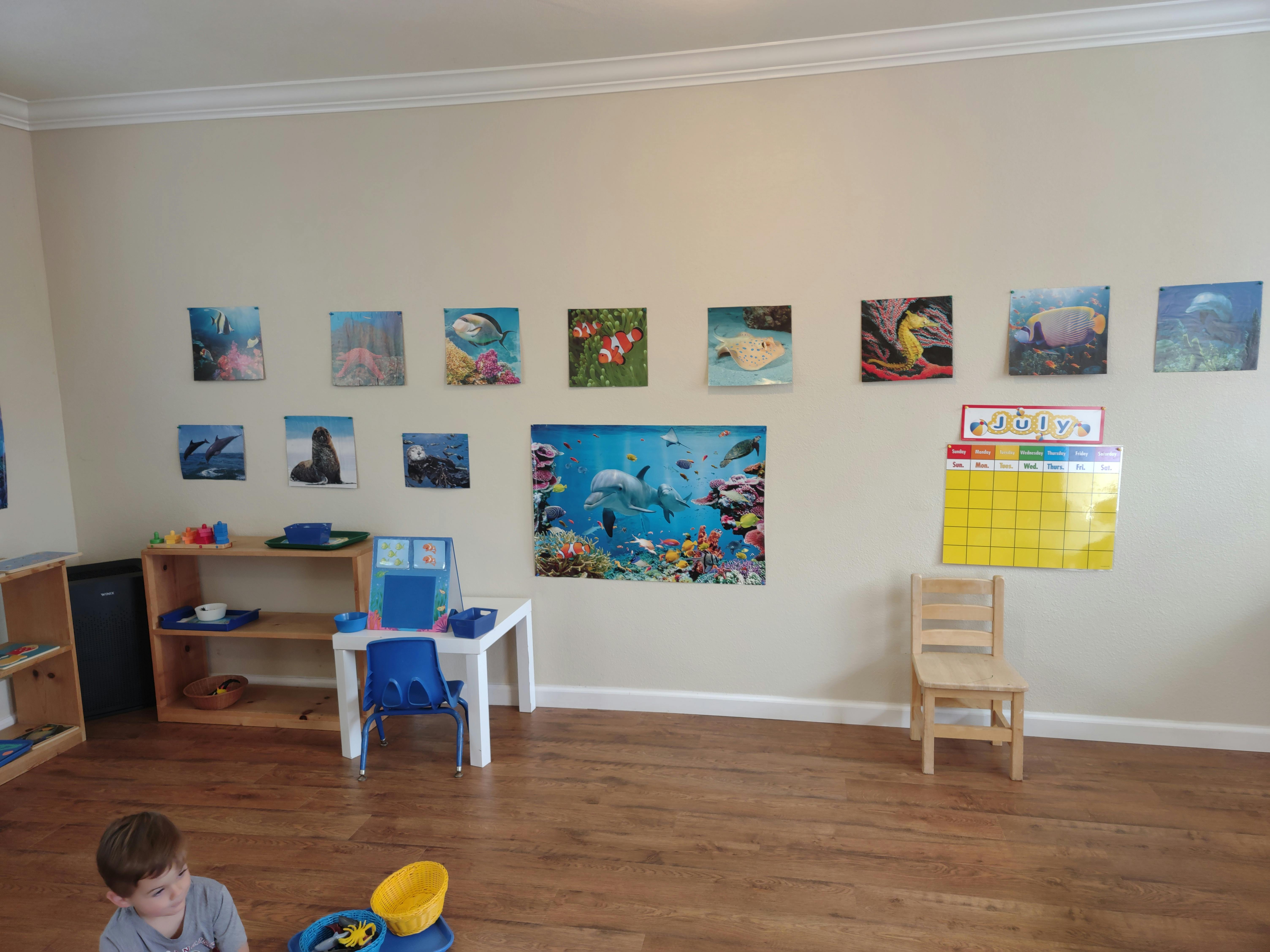 Classroom wall with ocean-themed pictures and a calendar