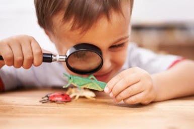 Child looking at toy insects with a magnifying glass