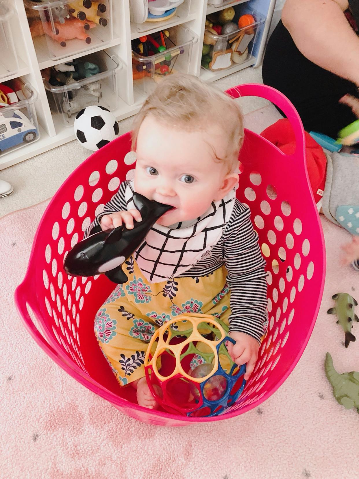 Child in a pink basket chewing on a toy
