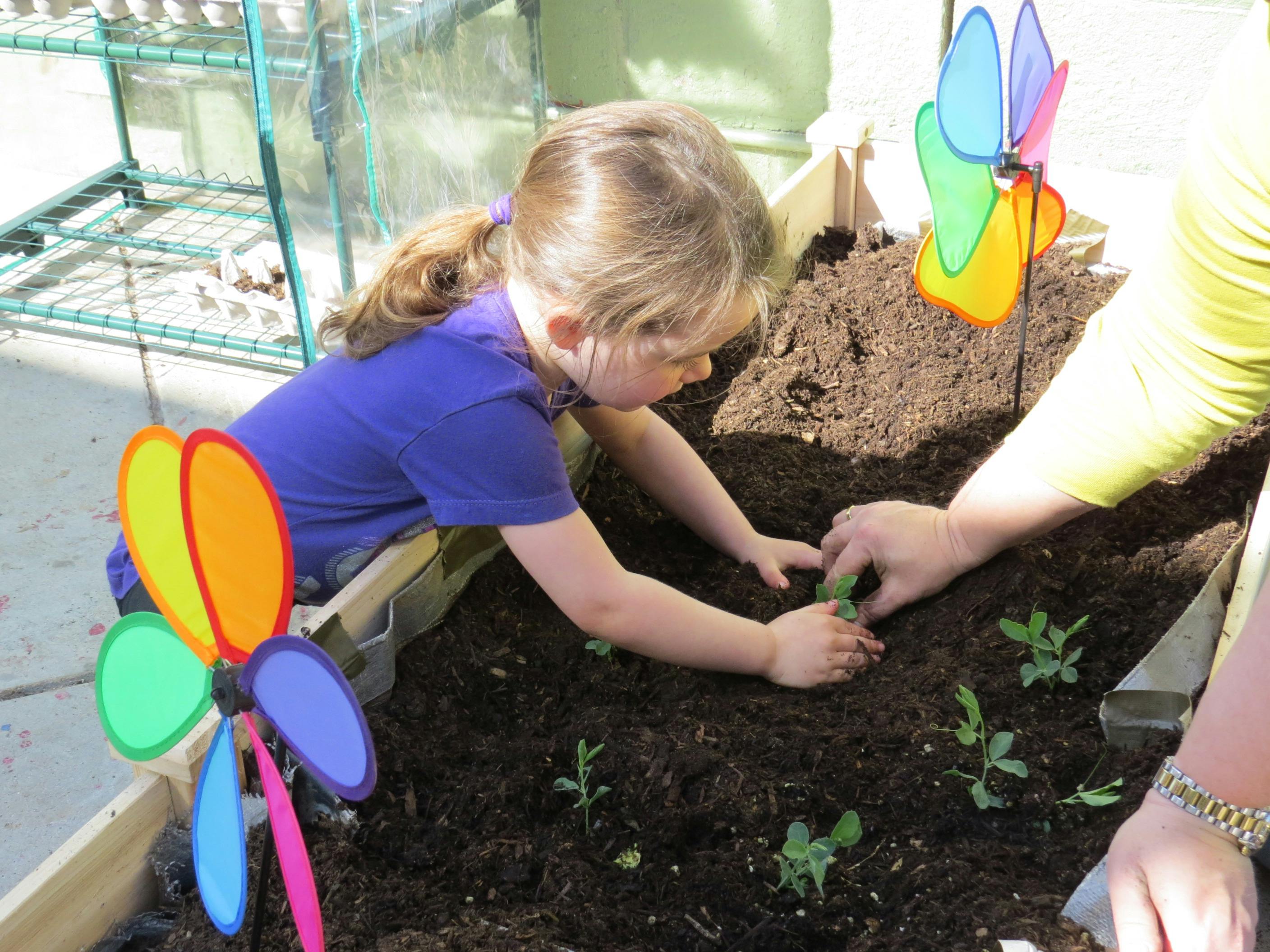 Child and person planting seedlings in a garden bed