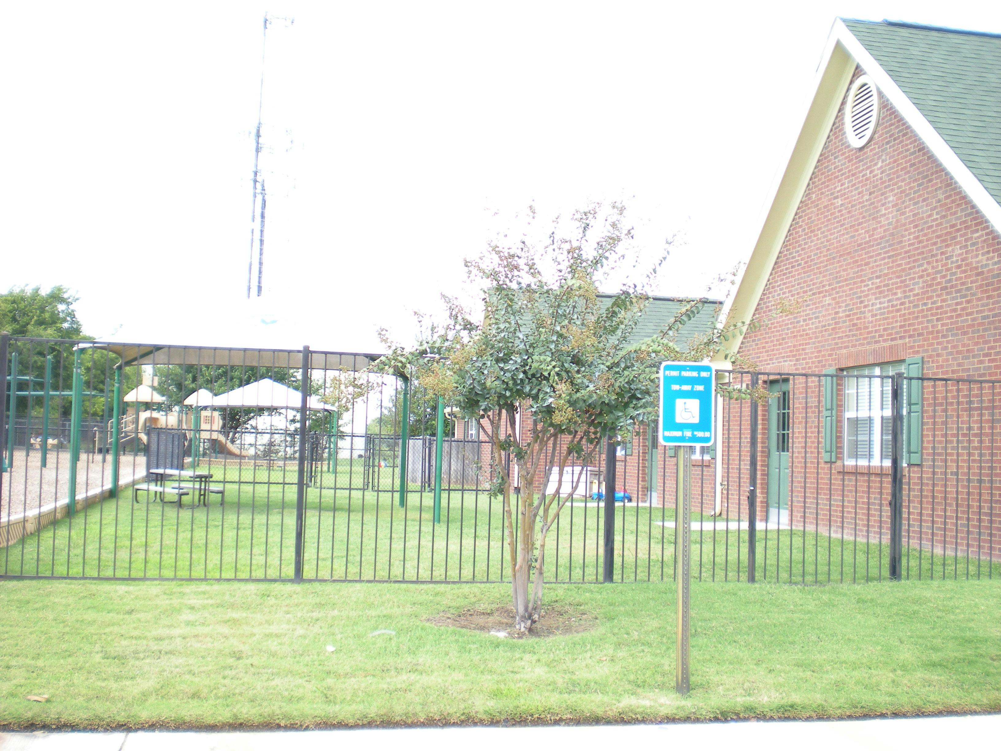Fenced yard with a tree and a building in the background