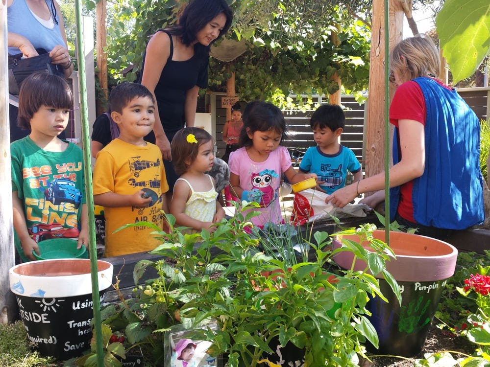 Adults and children in a garden with plants and pots