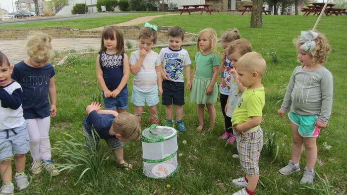 Group of children gathered around a mesh container on grass