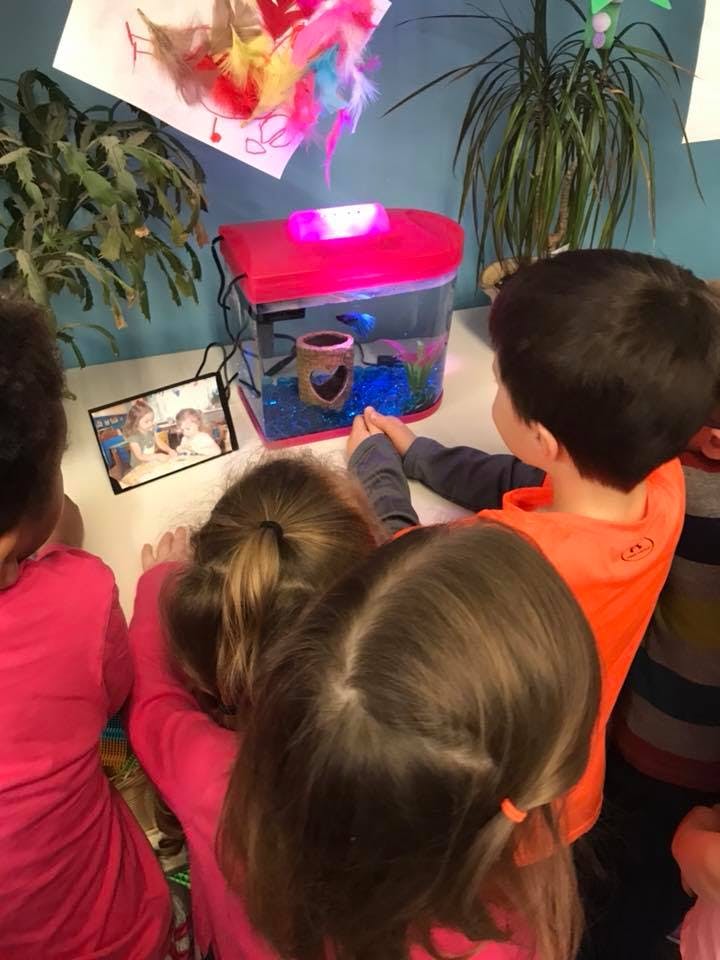 Midland's Kiddie Korral Child Care Center Daycare in WA Winnie