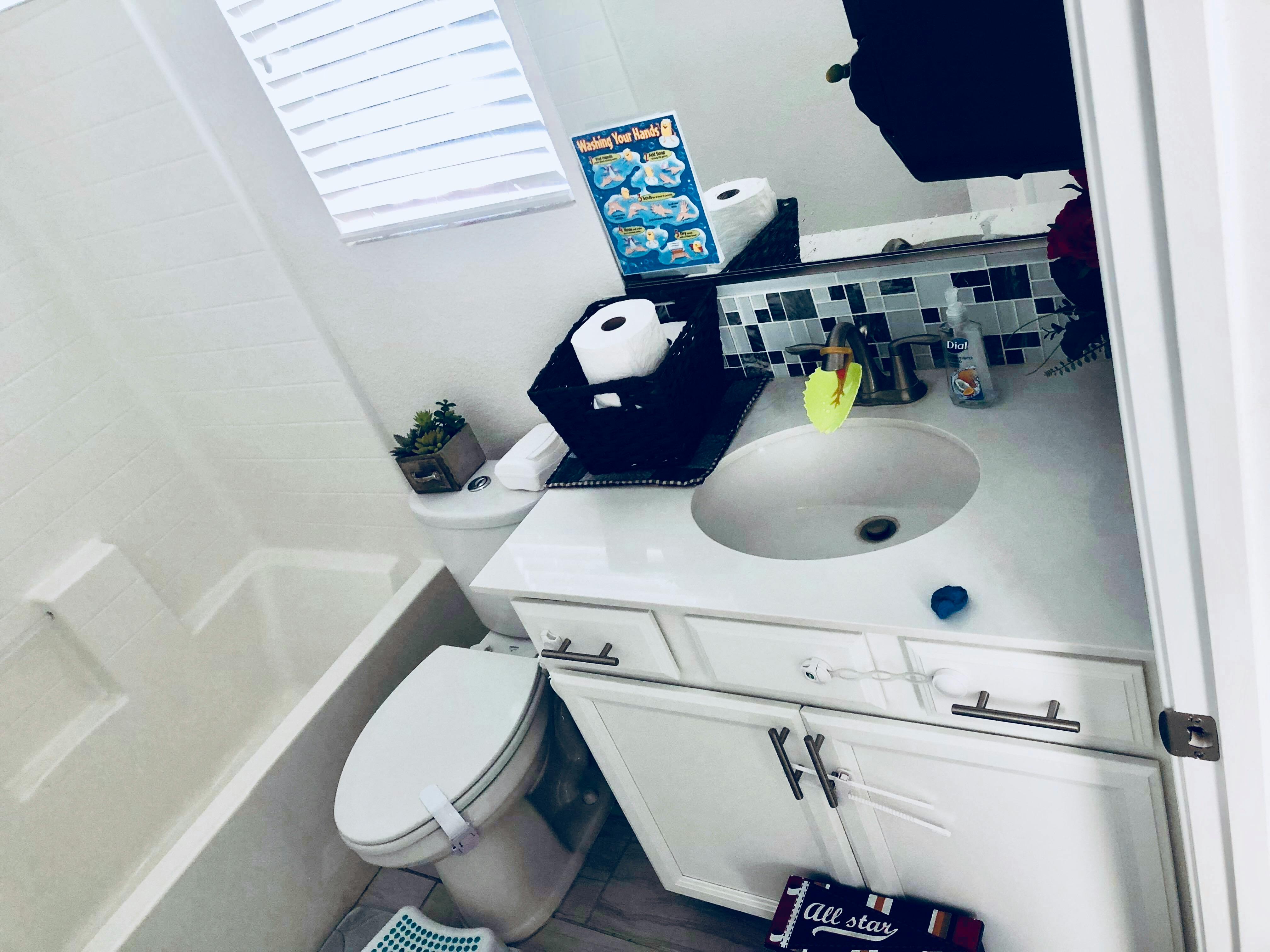 Bathroom with a toilet, bathtub, and vanity with a sink