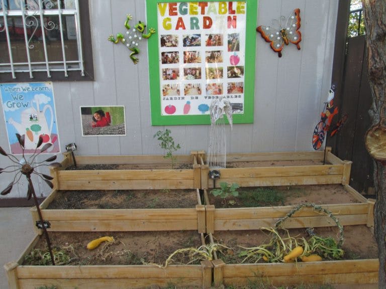 Raised garden beds with a "Vegetable Garden" sign on the wall