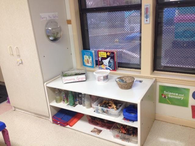 Classroom shelf with books, various containers, and a sign for "Science and Sensory"
