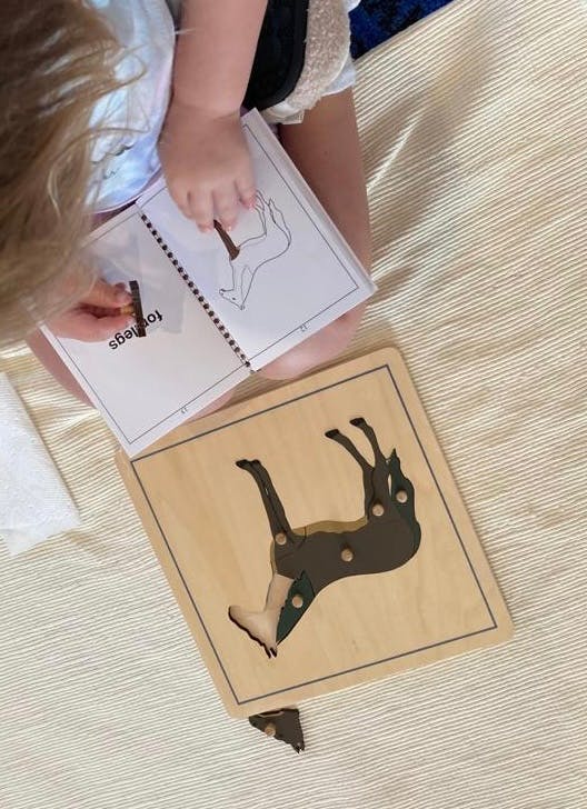 Child holding a book with a deer drawing next to a deer puzzle