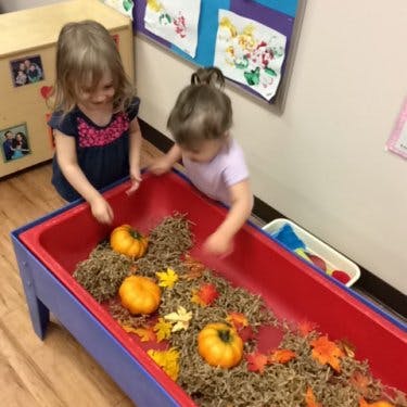 Two children playing with pumpkins and leaves in a sensory bin