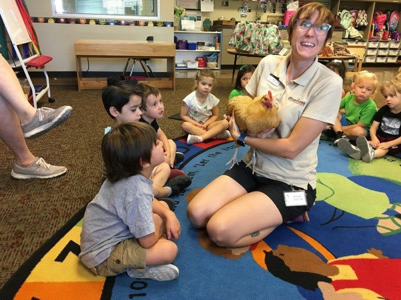 Adult holding a chicken for children sitting on a rug