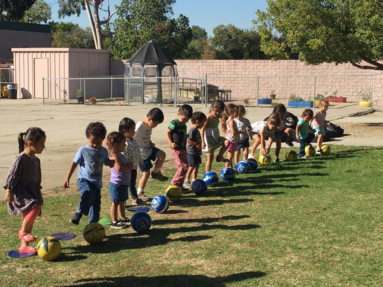 Children playing with balls on a grassy field