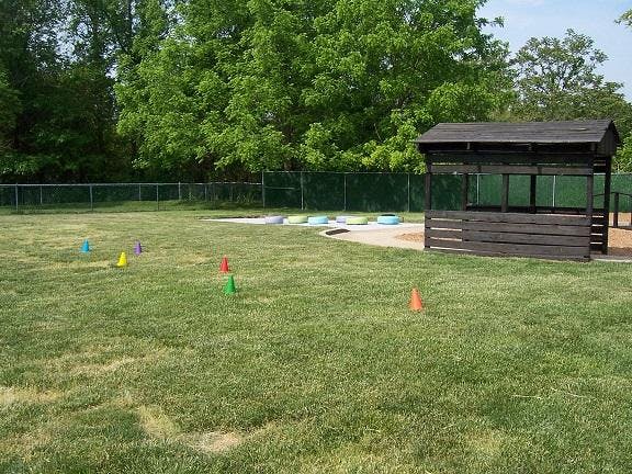 Colorful cones on a grassy field with a wooden shelter