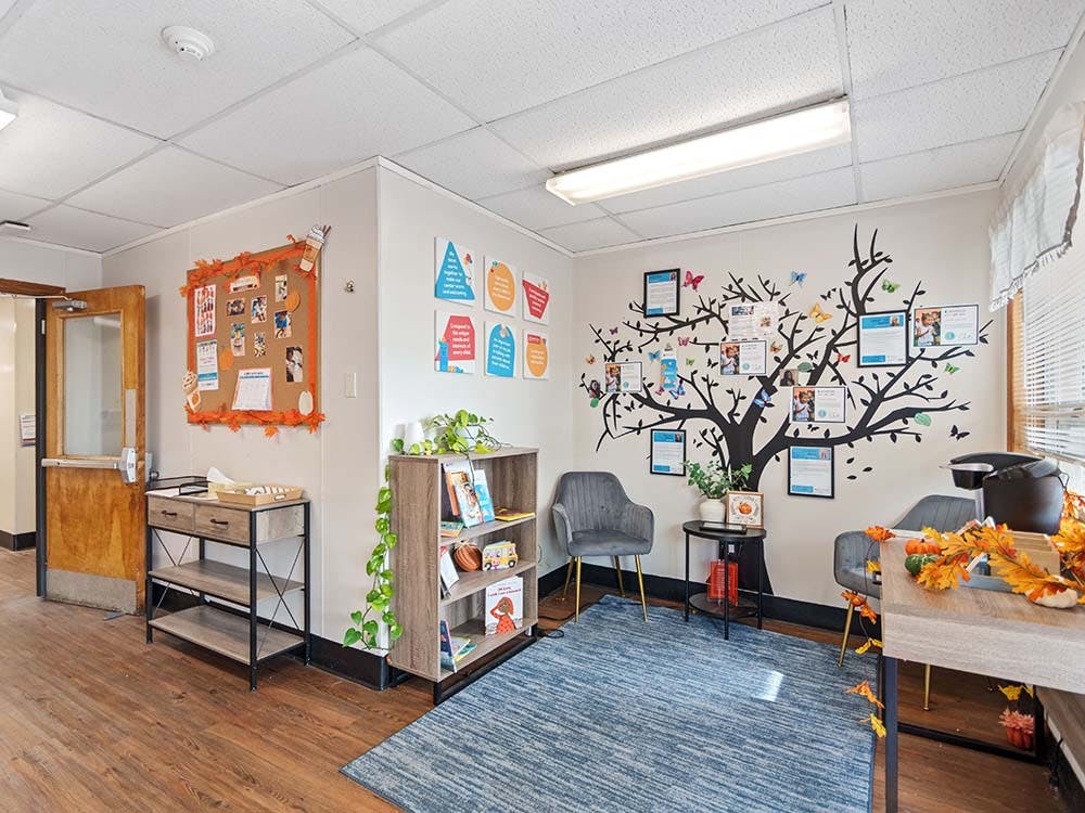 Room with tree decal, chairs, rug, and fall decorations