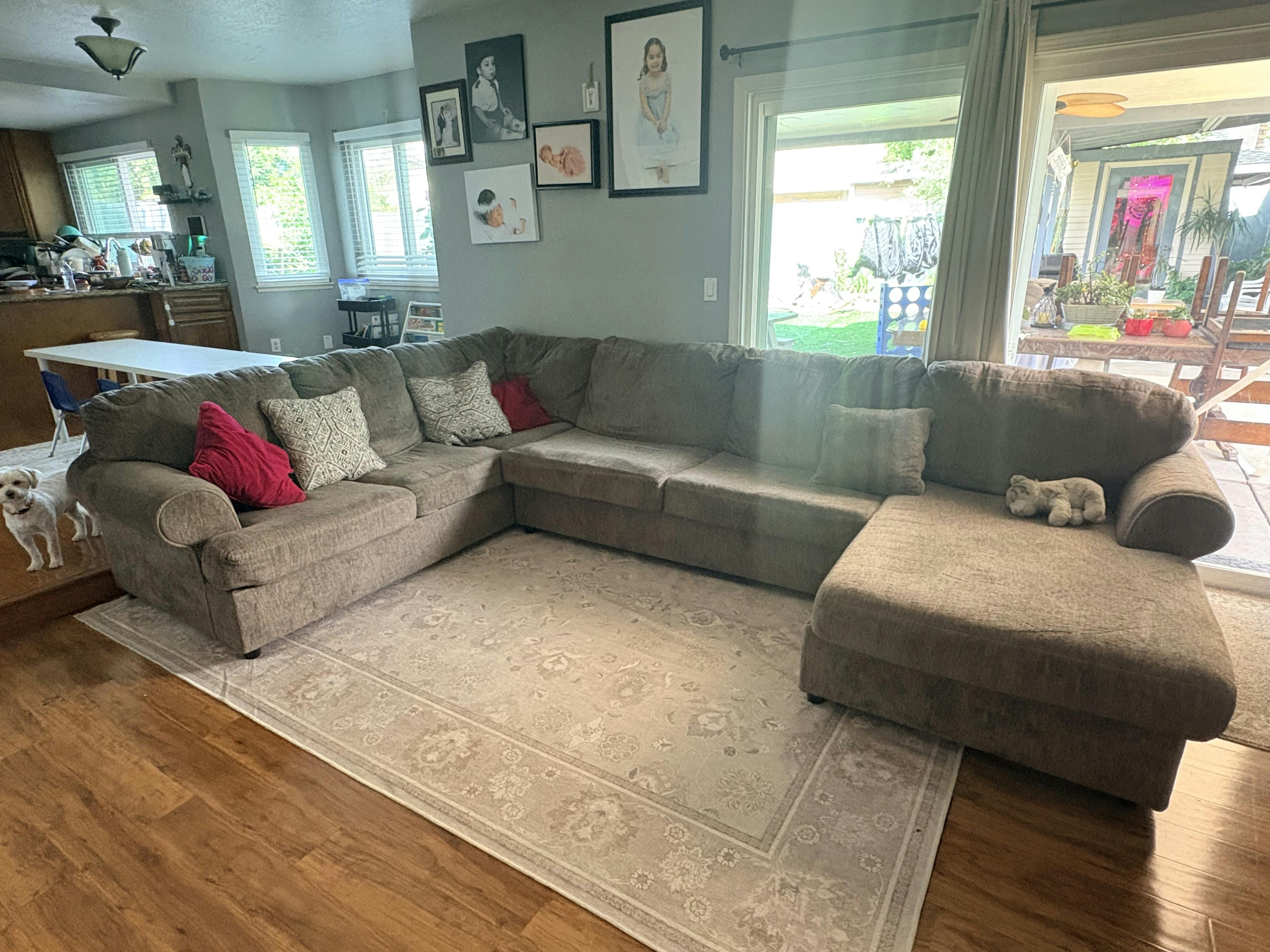 Sectional sofa with patterned area rug in a living room