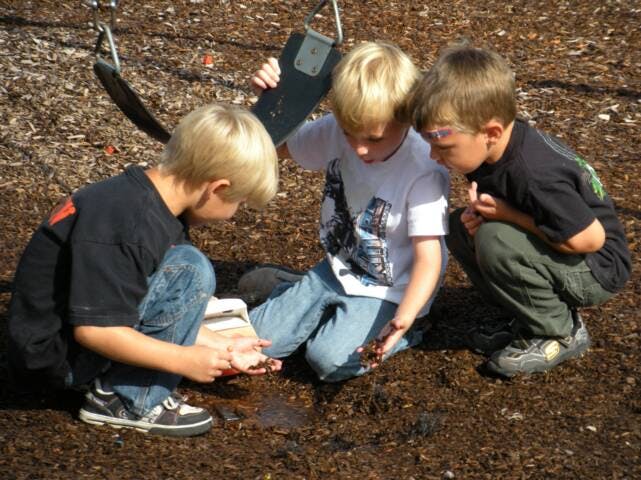 Three children looking at something on the ground