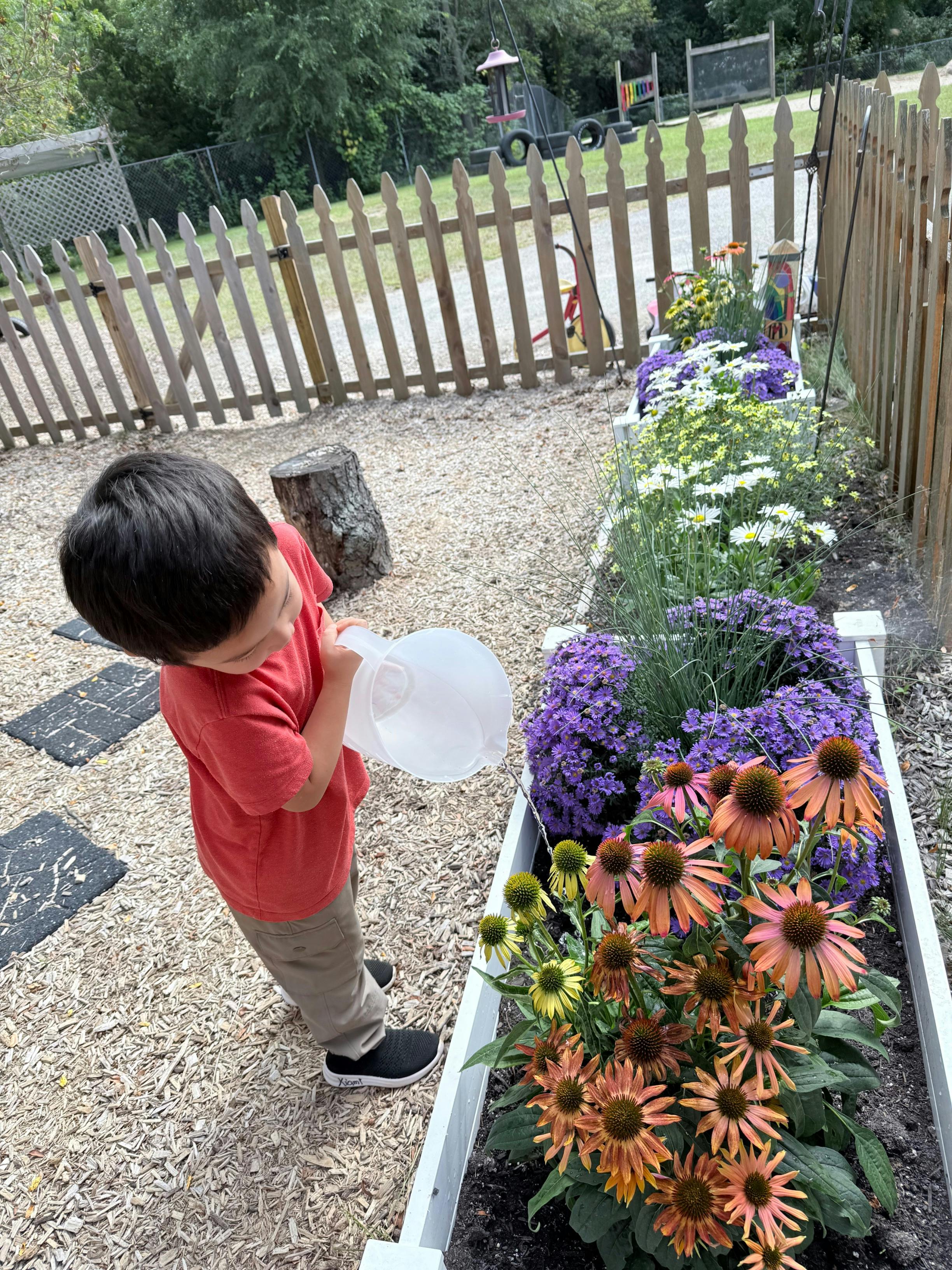 Child watering flowers in a garden bed