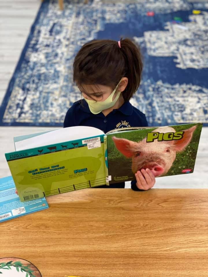 Child in a mask reading a book about pigs