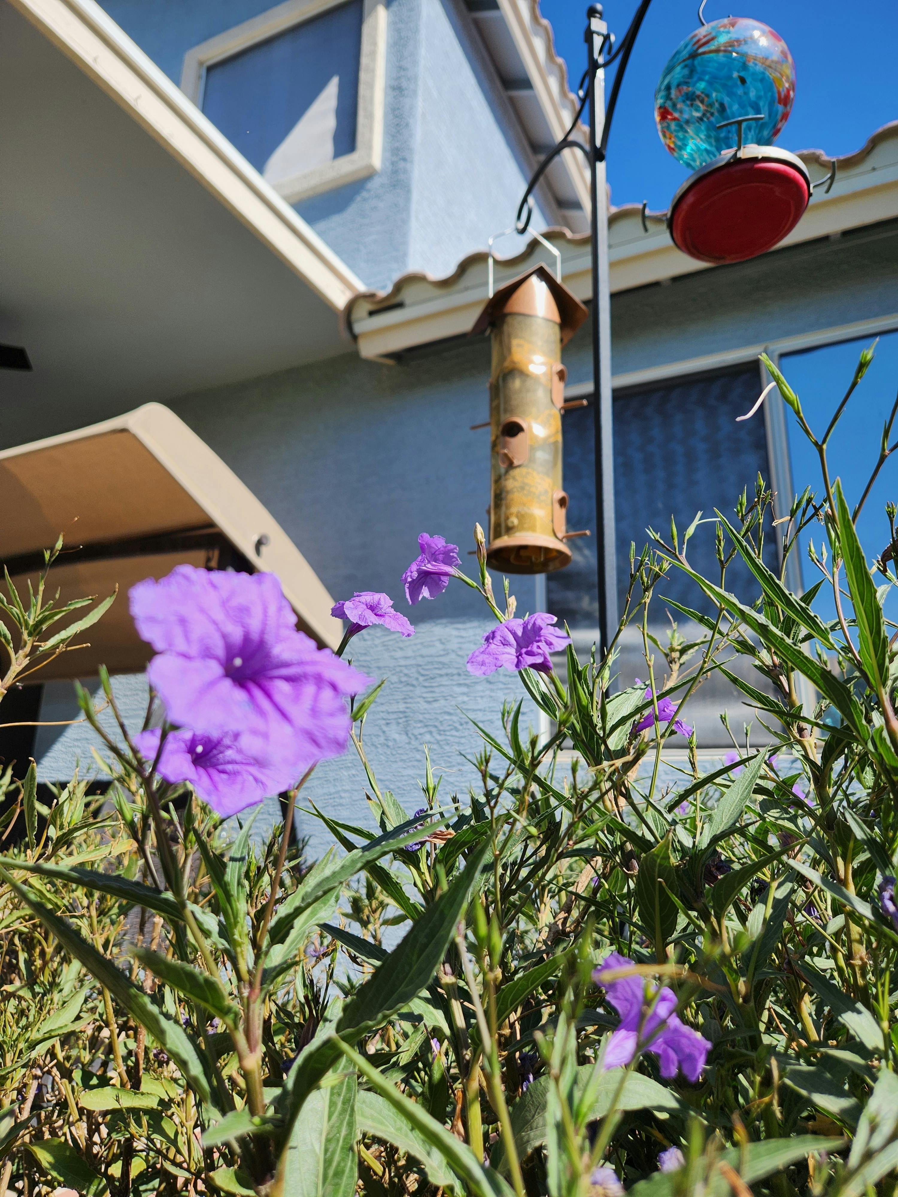 A Mother's Touch Nursery in Glendale, AZ