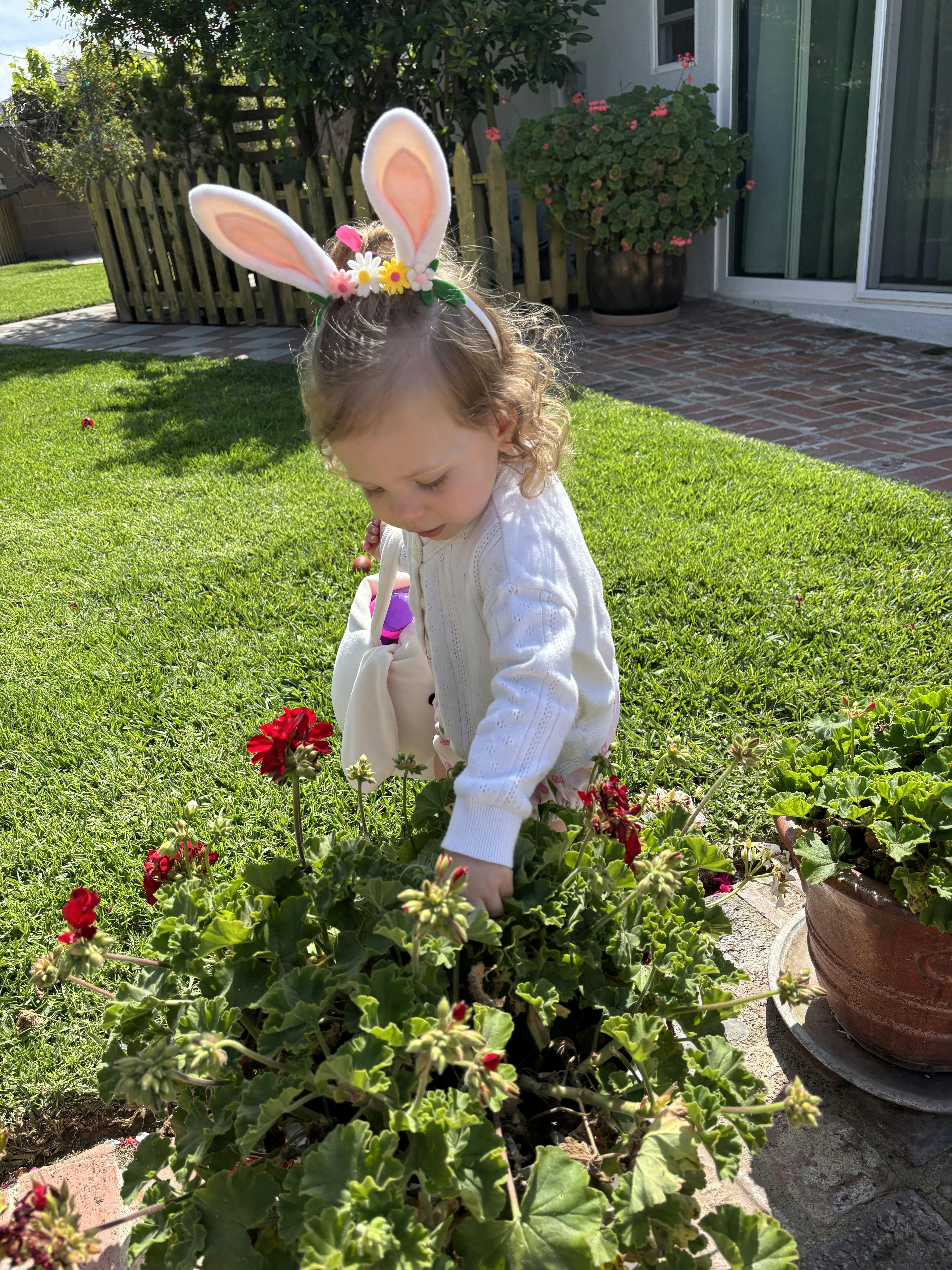 Child wearing bunny ears, reaching into a potted plant with red flowers