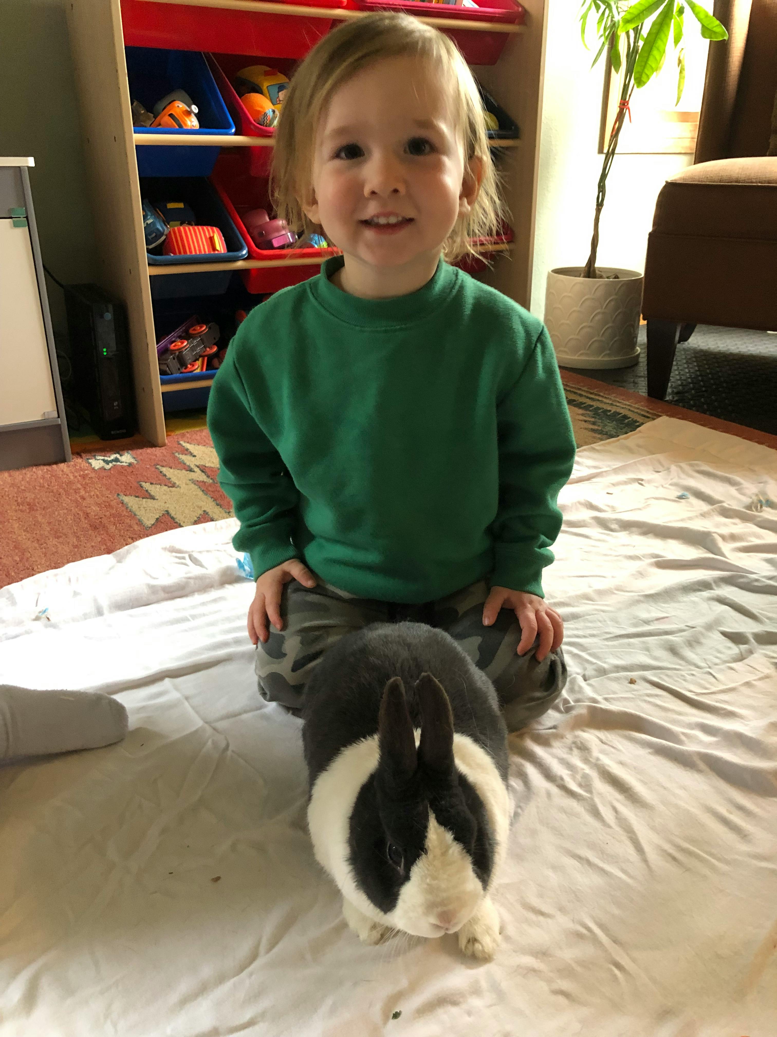 Child kneeling behind a rabbit