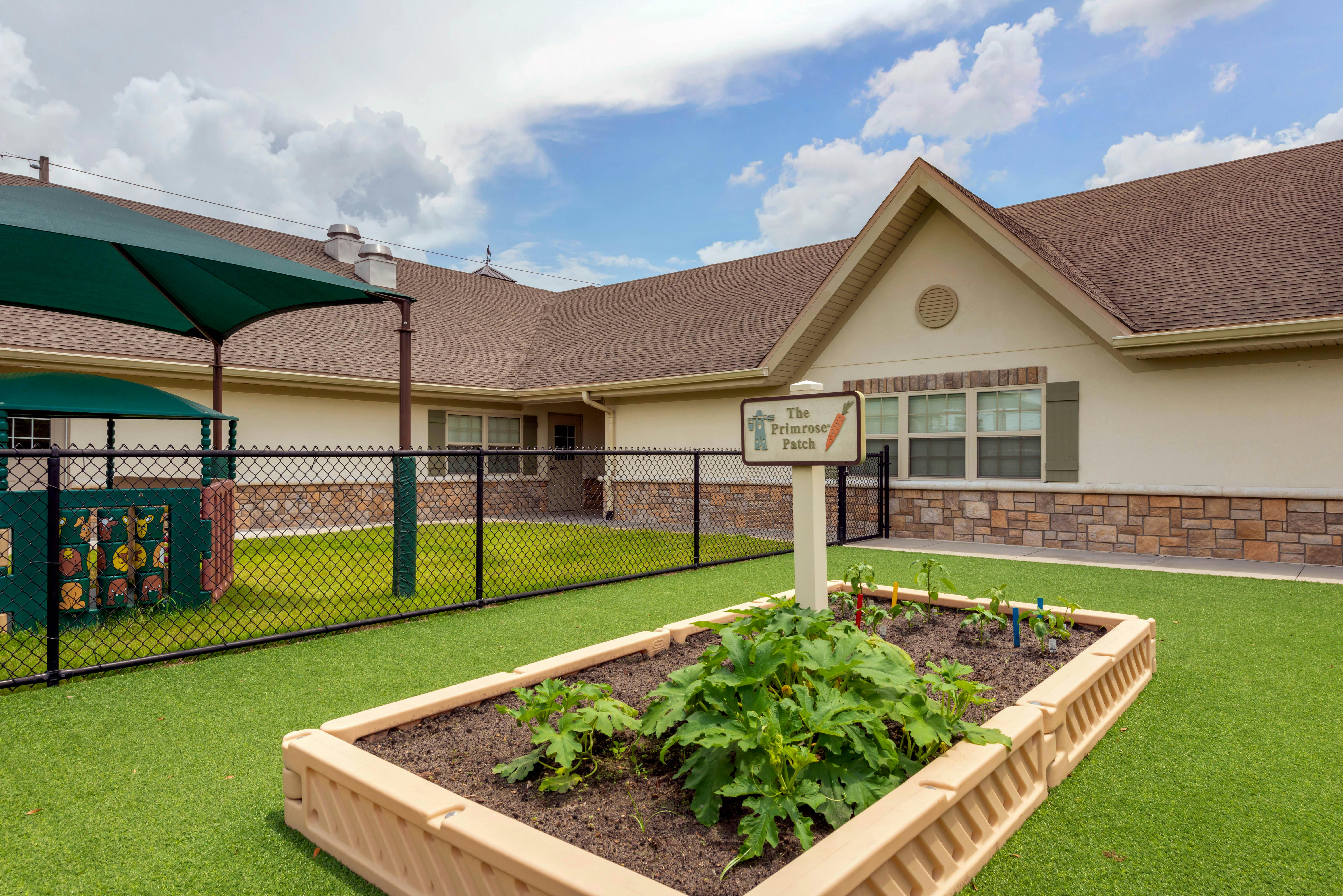 An outdoor garden bed with small plants next to a building with a sign "The Primrose Patch"