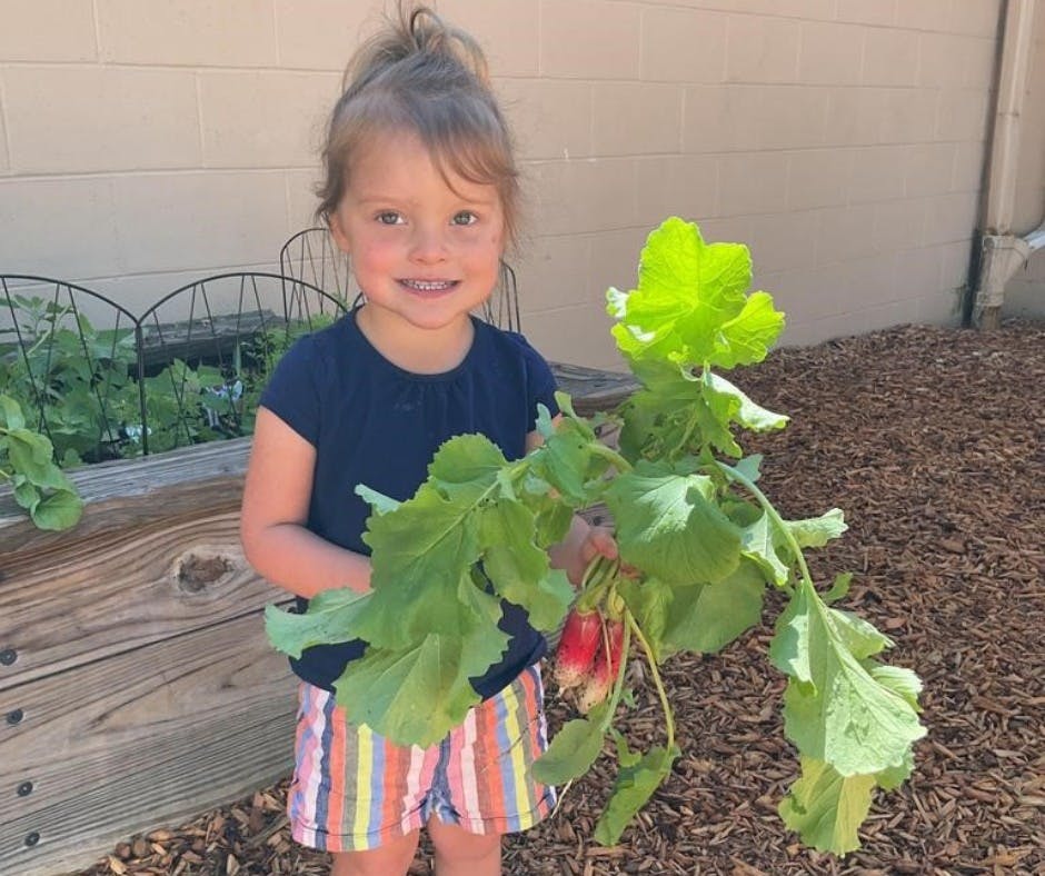 Child holding a bunch of radishes with green leaves