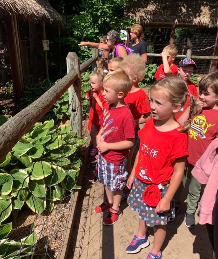 Group of children and adults looking over a wooden fence