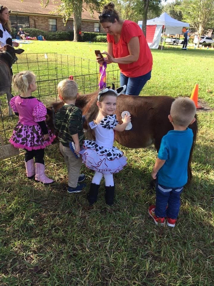 Children interacting with a small animal in a fenced area
