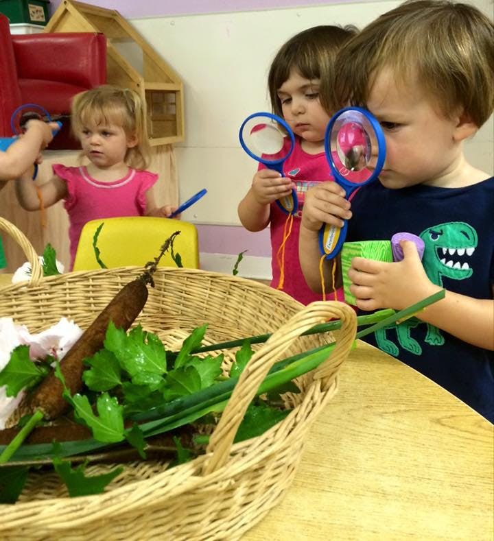 Children looking at items in a basket with magnifying glasses