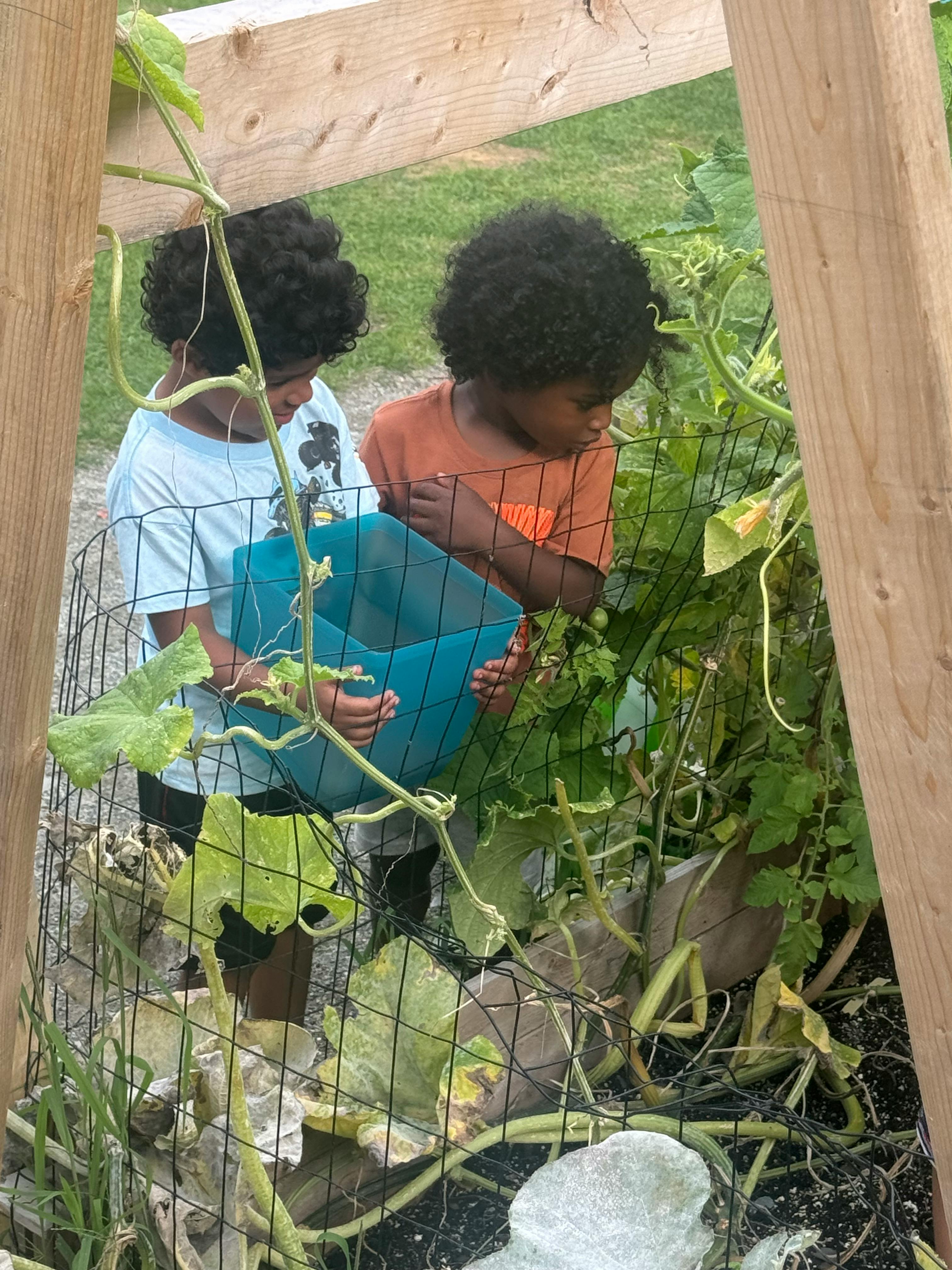 Two children looking at plants in a garden