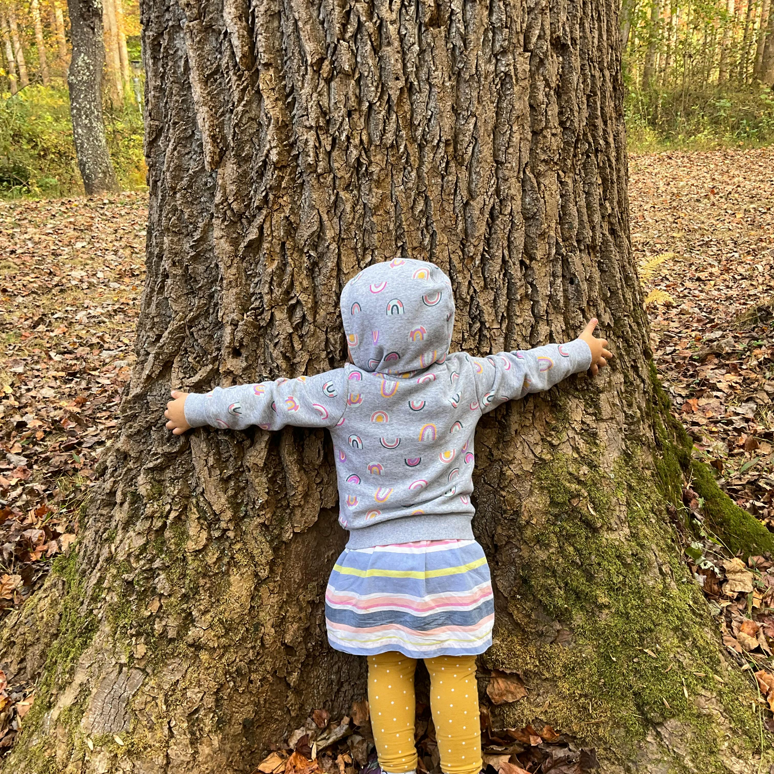 Child hugging a large tree trunk